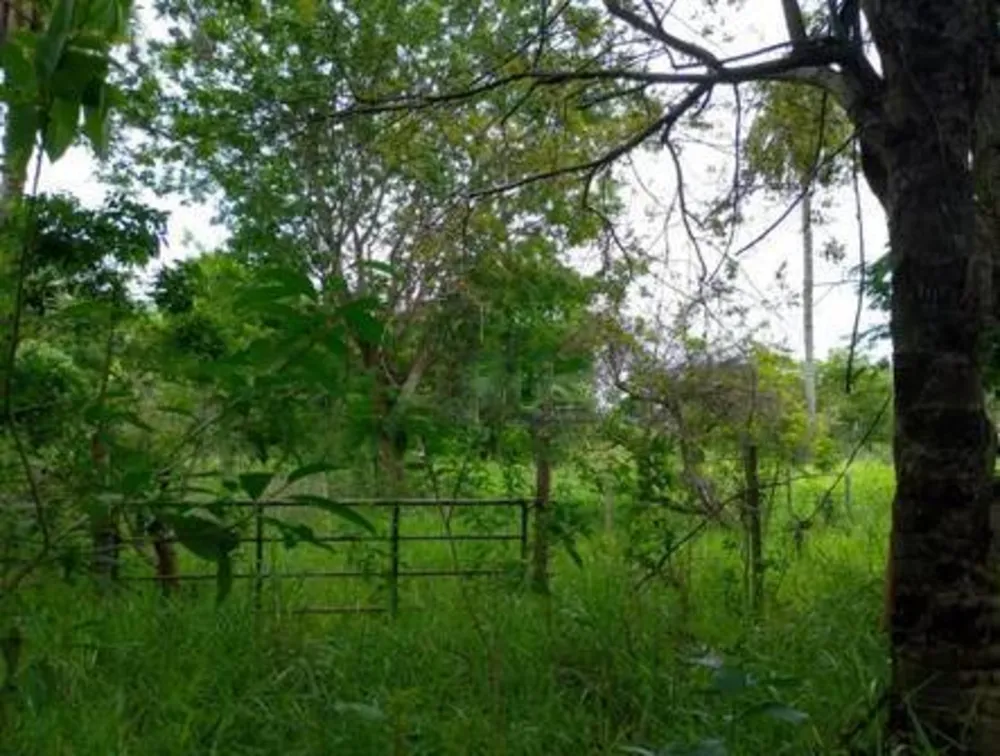 Terreno - Foto 1