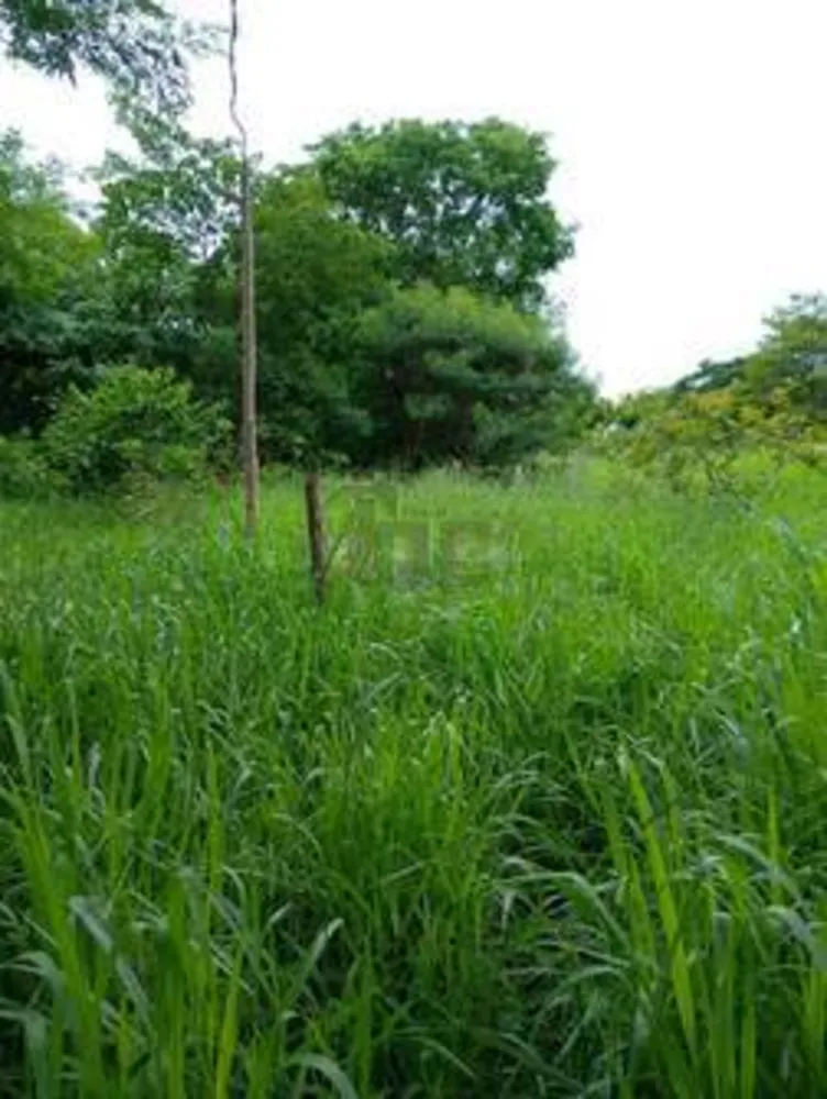 Terreno - Foto 7