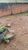 Terreno, 200 m² - Foto 3