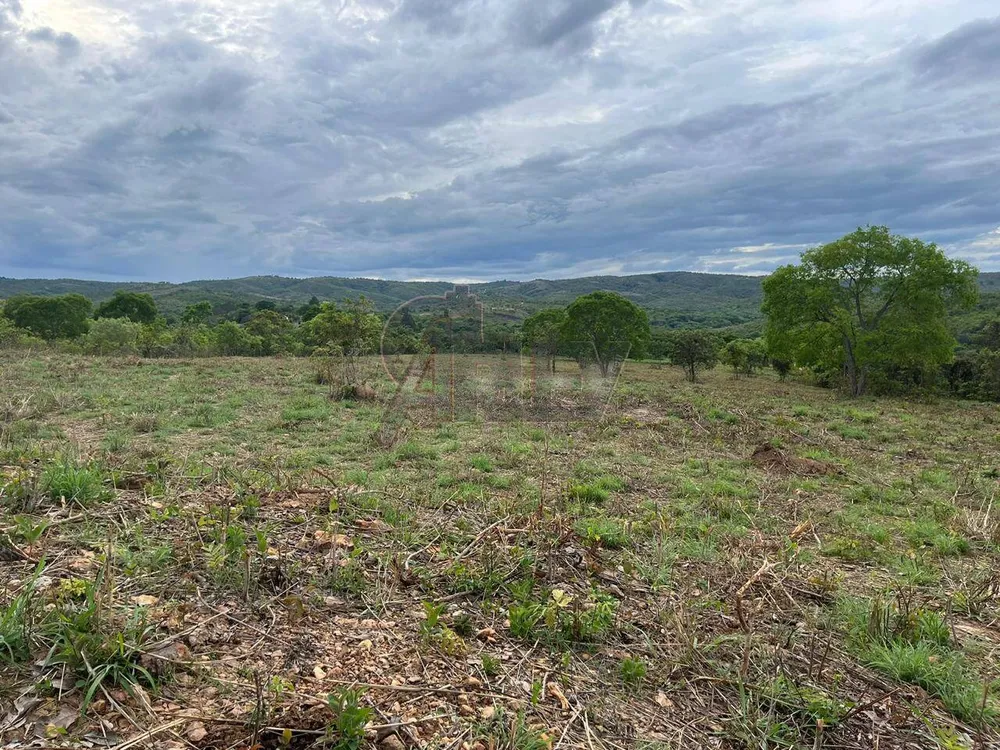 Terreno, 2 hectares - Foto 3