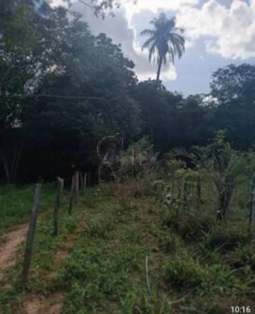 Fazenda, 5 quartos - Foto 9