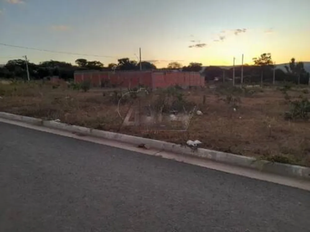 Chácara, 3 quartos, 3965 m² - Foto 3