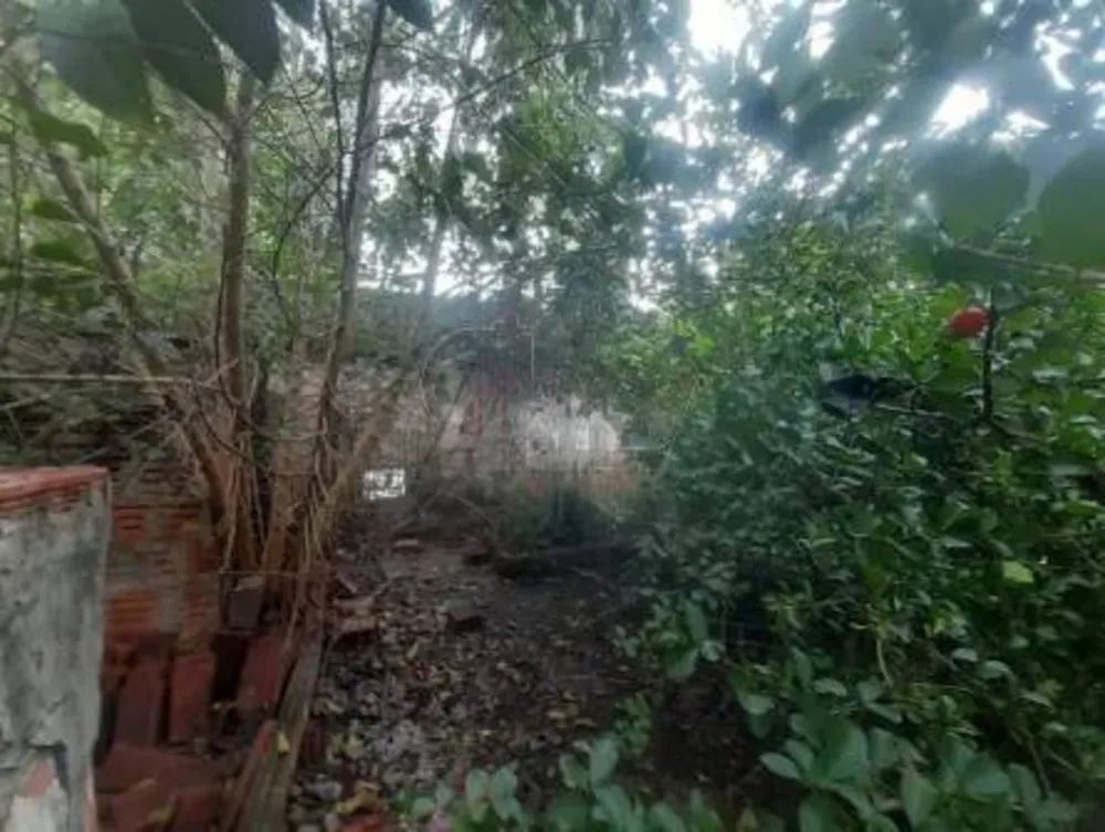 Terreno - Foto 5