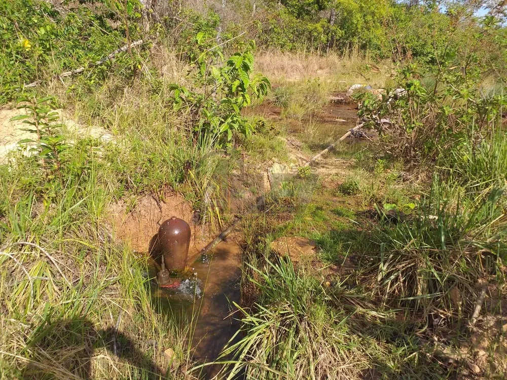 Fazenda, 4 quartos - Foto 6