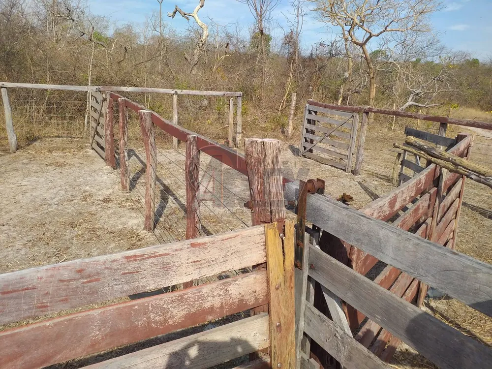 Fazenda, 4 quartos - Foto 5