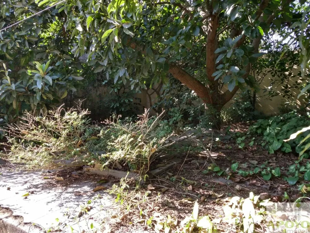 Casa, 3 quartos, 200 m² - Foto 21
