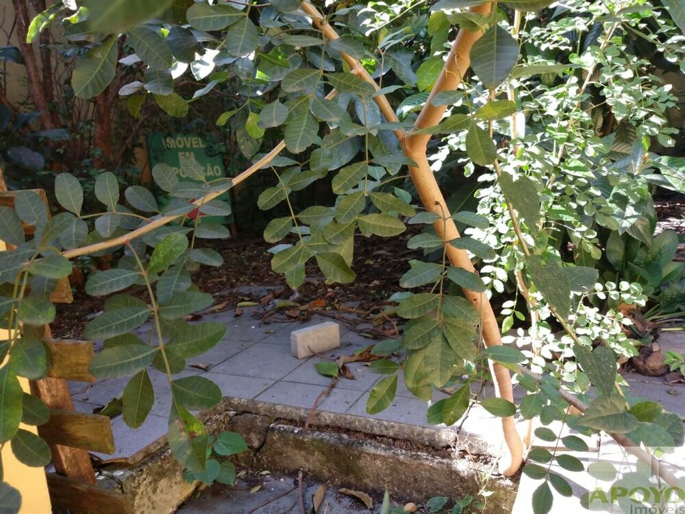 Casa, 3 quartos, 200 m² - Foto 5