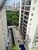 Apartamento, 2 quartos, 54 m² - Foto 2