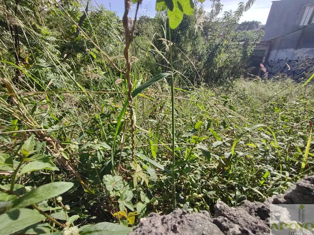 Terreno, 477 m² - Foto 11