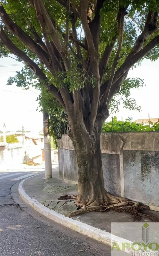 Terreno, 260 m² - Foto 4