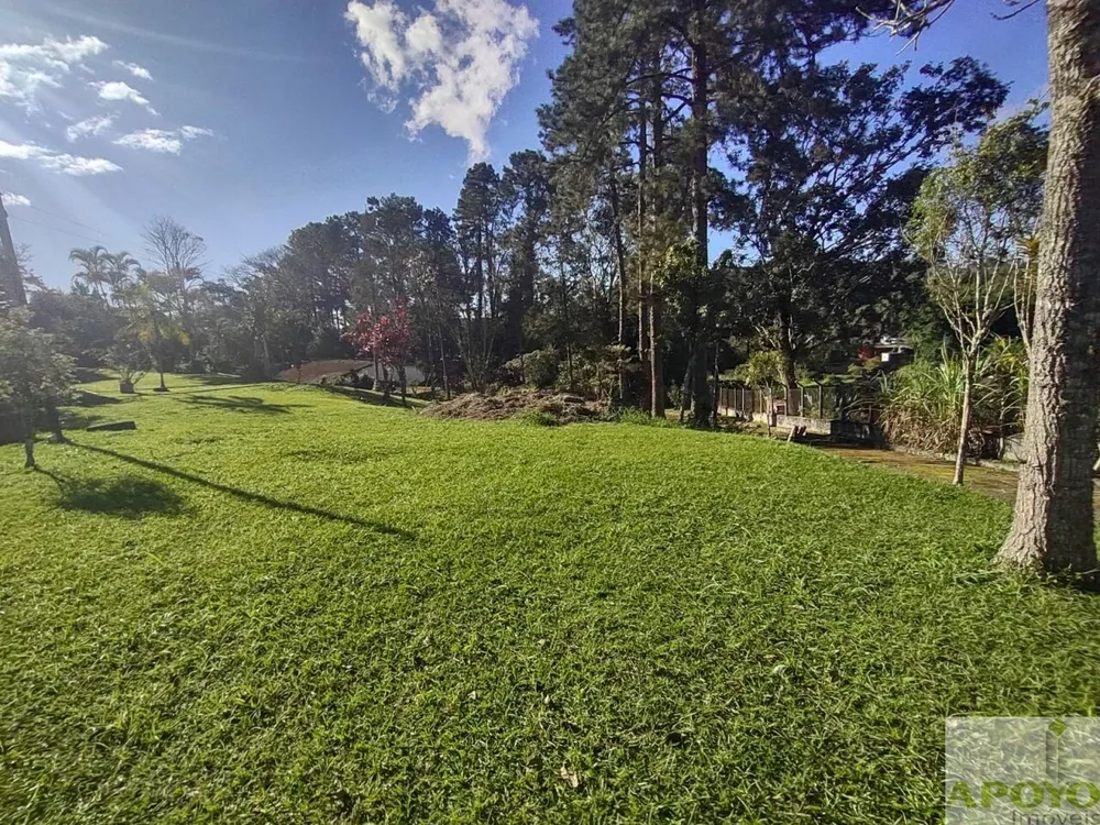 Chácara, 2 quartos, 6250 m² - Foto 7