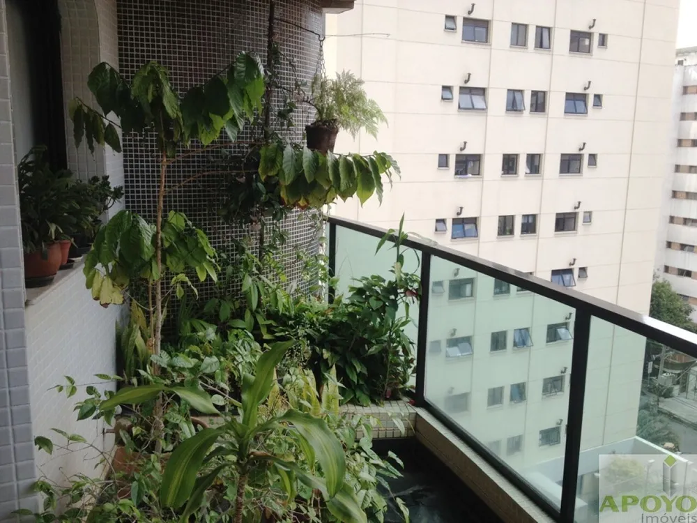 Apartamento, 4 quartos, 220 m² - Foto 12
