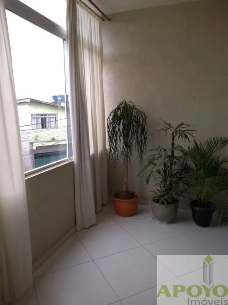Casa, 4 quartos, 260 m² - Foto 6