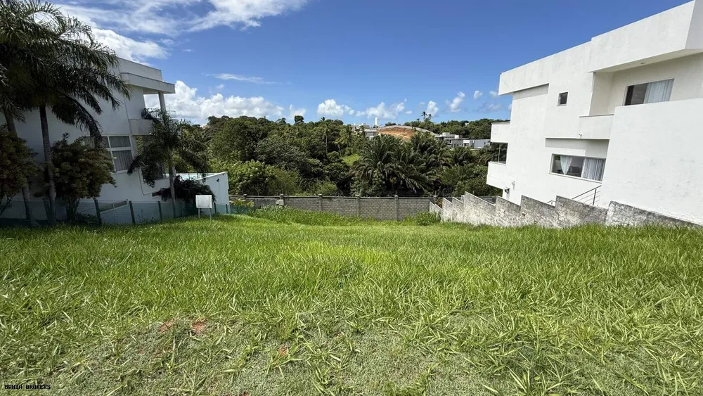 Terreno, 392 m² - Foto 3