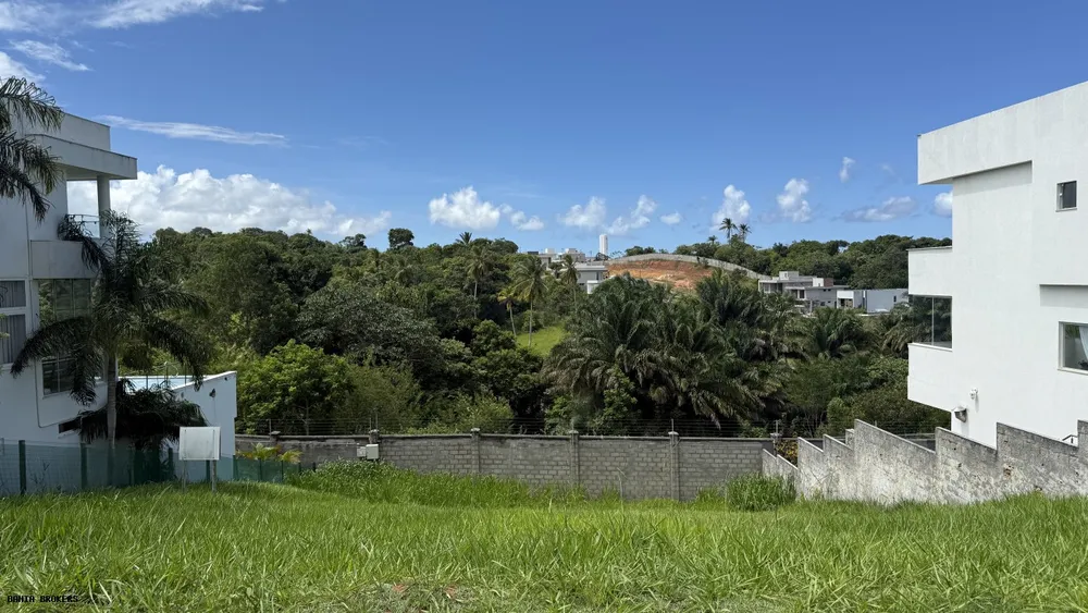 Terreno, 392 m² - Foto 7