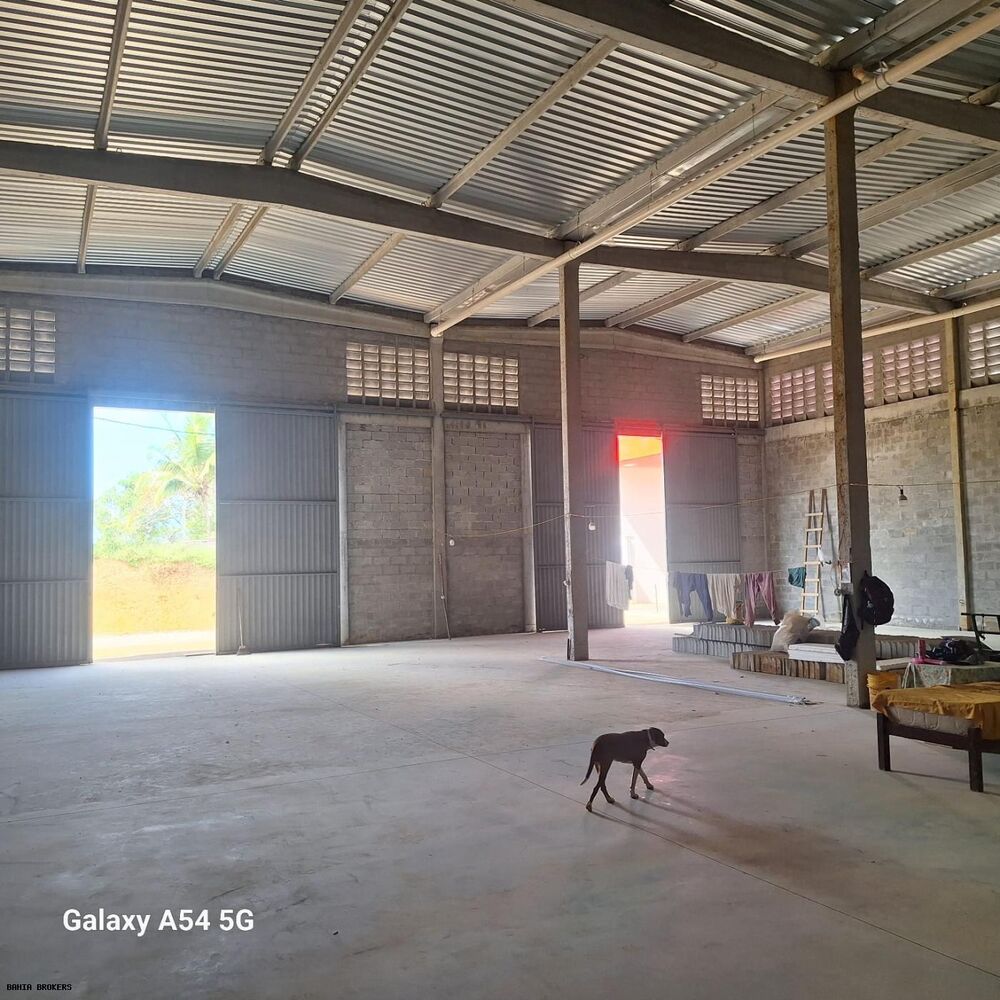 Depósito-Galpão, 240 m² - Foto 12