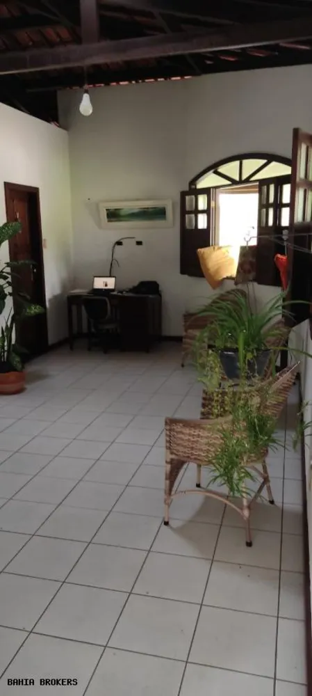 Fazenda, 35 m² - Foto 4