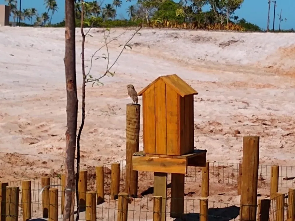 Terreno, 451 m² - Foto 22