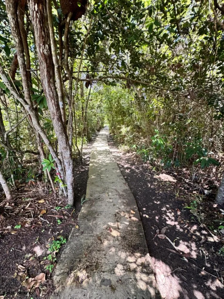 Terreno, 800 m² - Foto 10