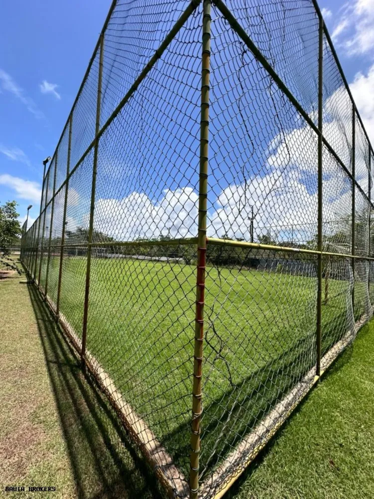 Terreno, 800 m² - Foto 5