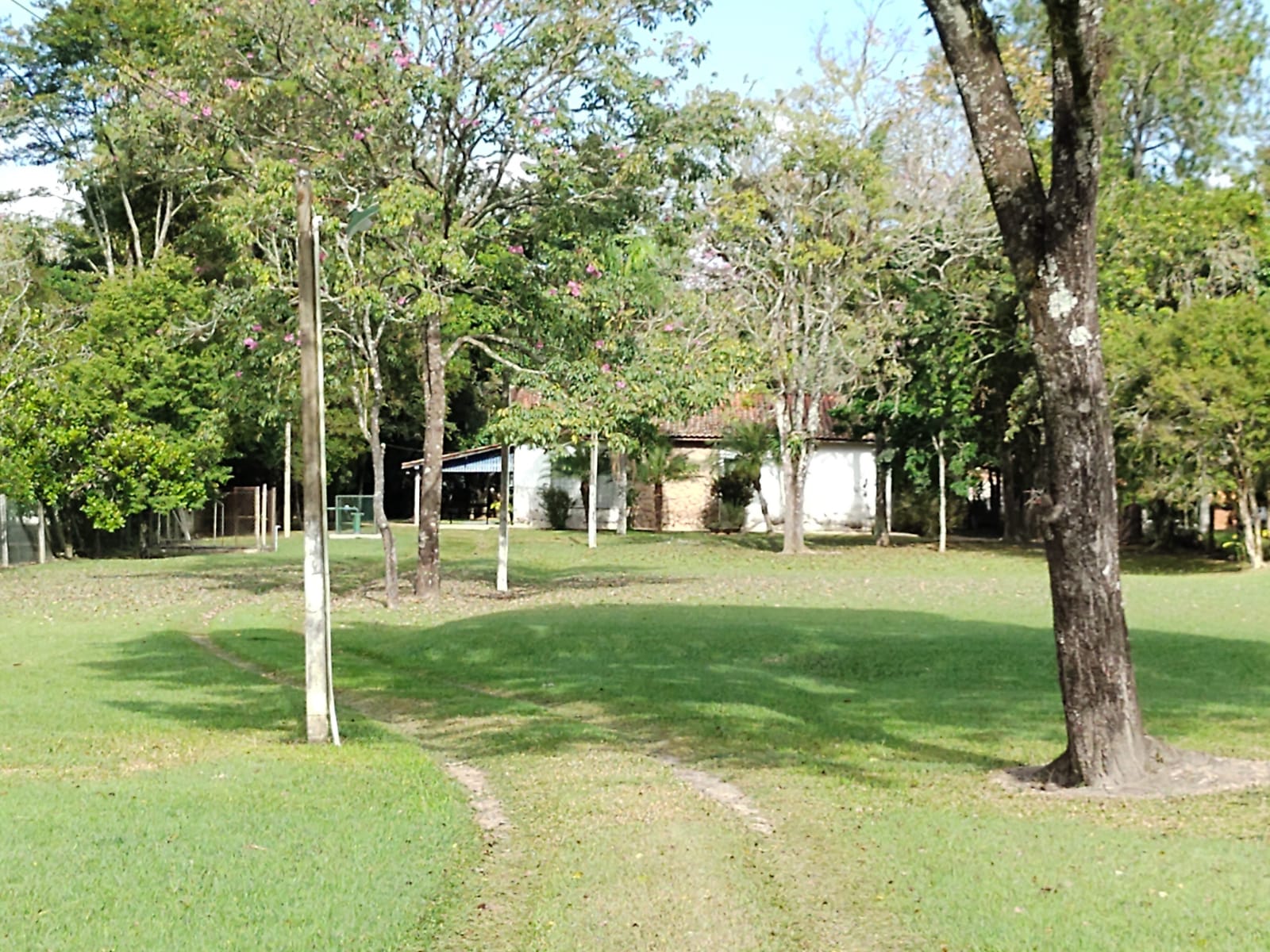 Chácara à venda com 2 quartos, 8260m² - Foto 3