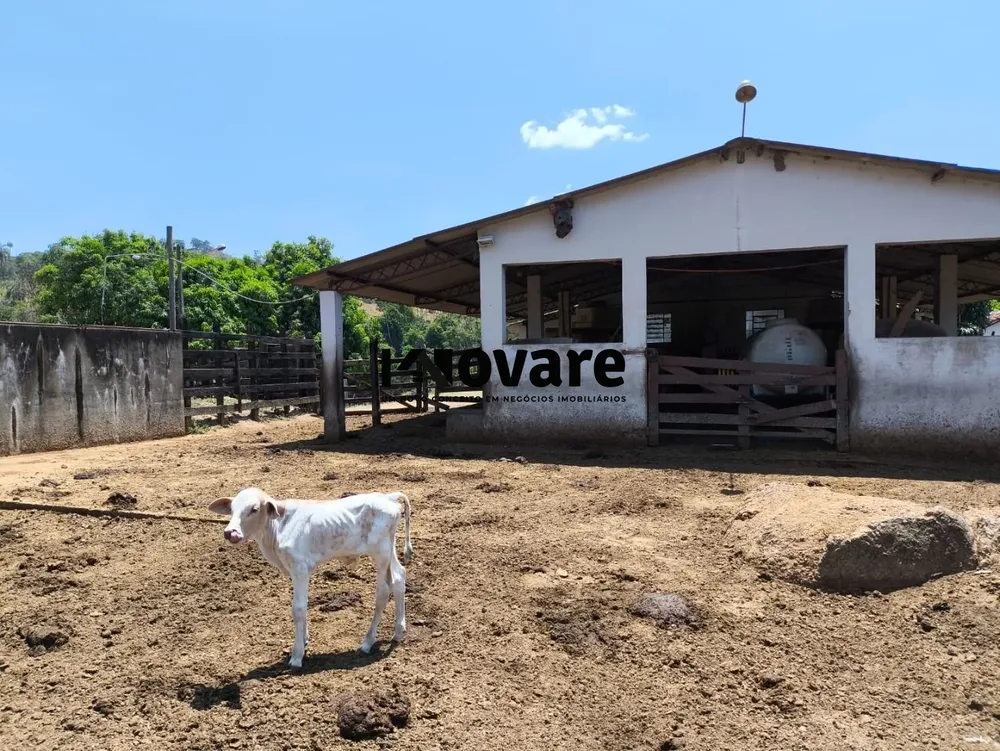 Sítio, 8 quartos, 186000 m² - Foto 1