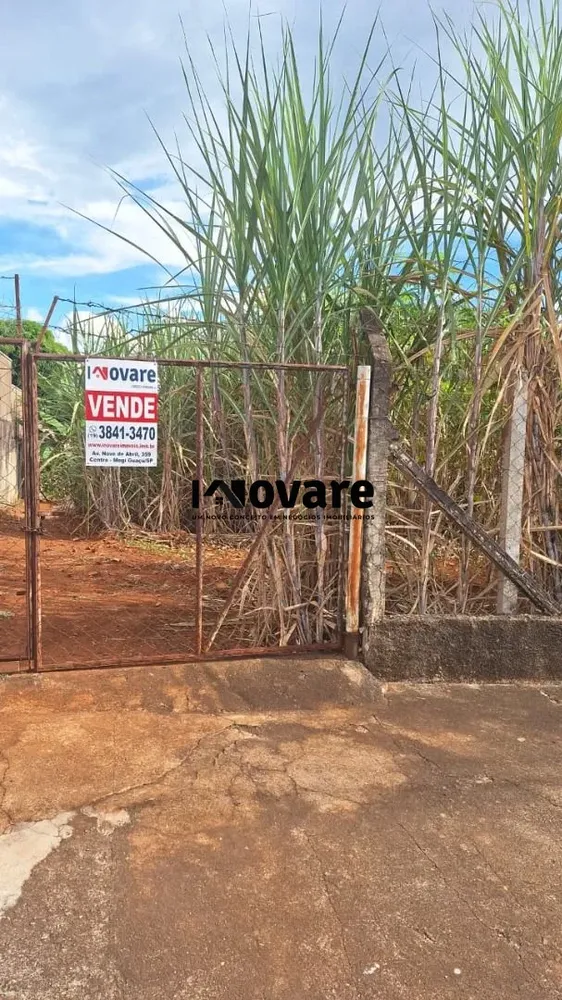 Terreno, 1515 m² - Foto 3