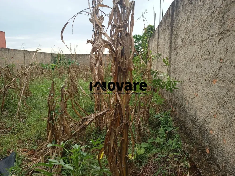 Terreno, 200 m² - Foto 4