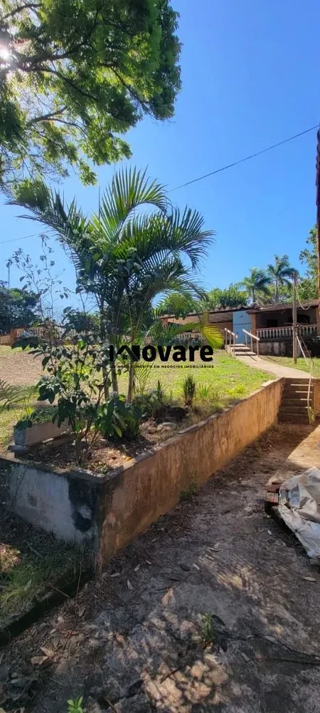 Sítio, 4 quartos, 5500 m² - Foto 4