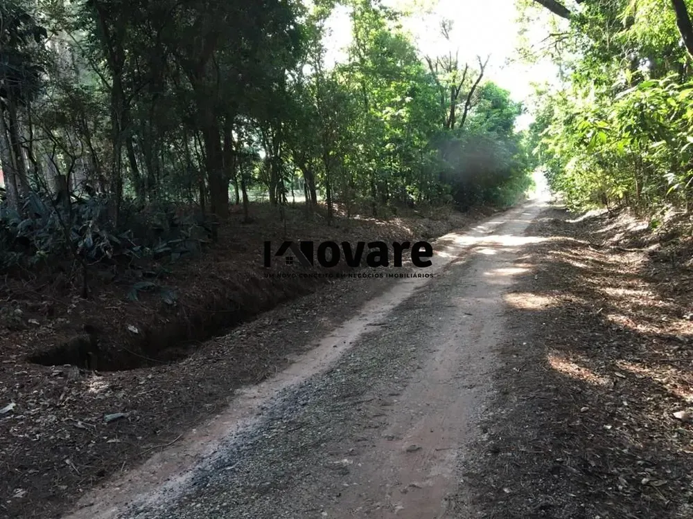 Sítio, 1 quarto, 230 m² - Foto 4