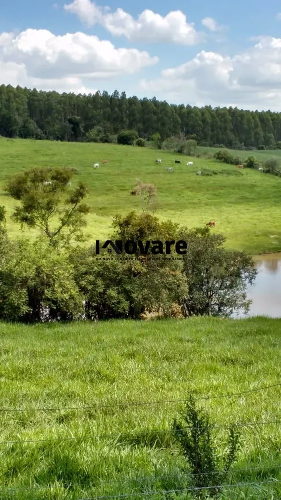 Sítio, 5000 m² - Foto 4