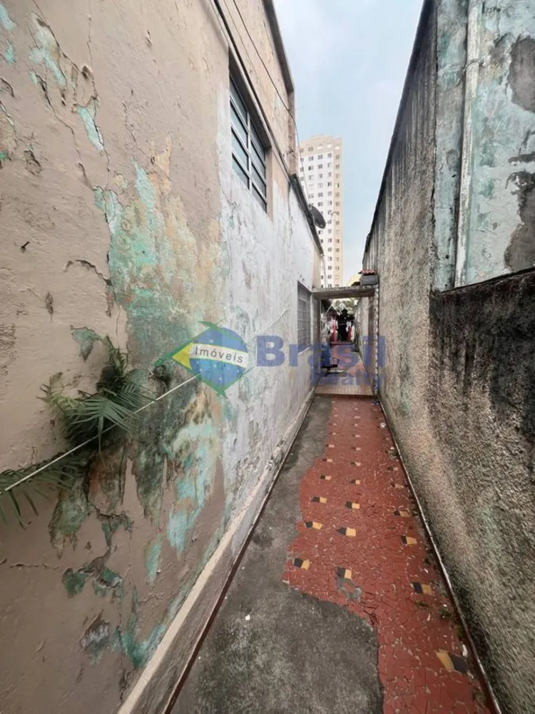 Casa, 4 quartos, 300 m² - Foto 4
