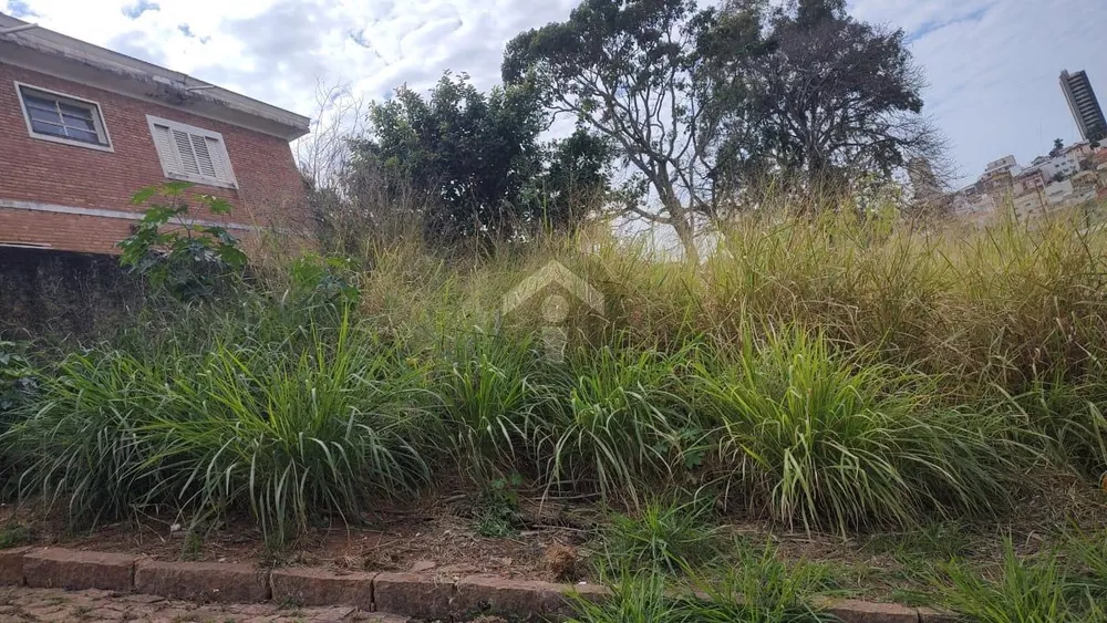 Terreno, 224 m² - Foto 3