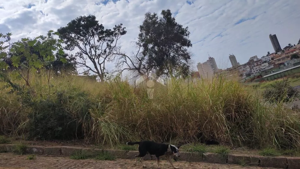 Terreno, 224 m² - Foto 2