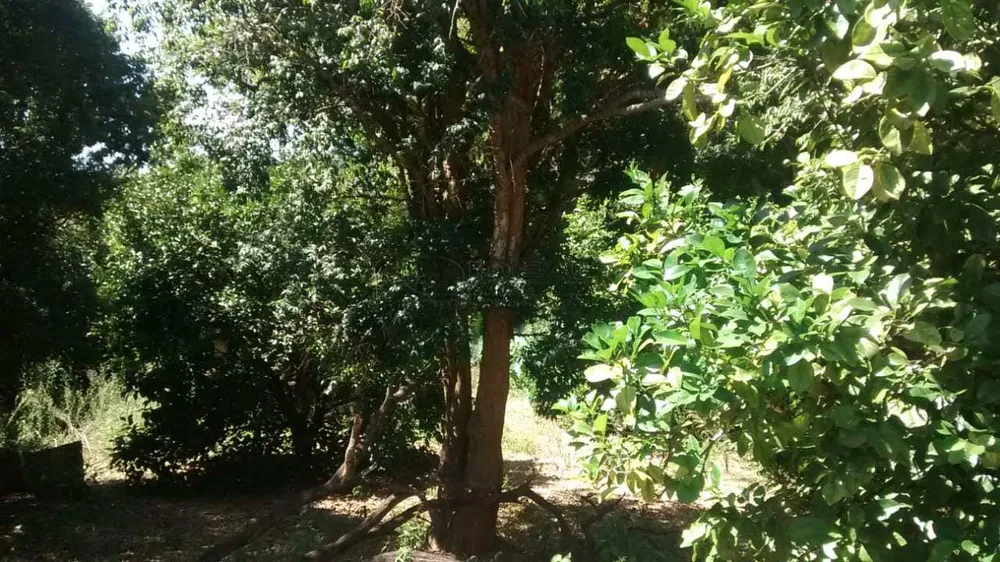 Fazenda, 73 m² - Foto 10