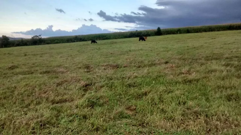 Fazenda, 73 m² - Foto 12