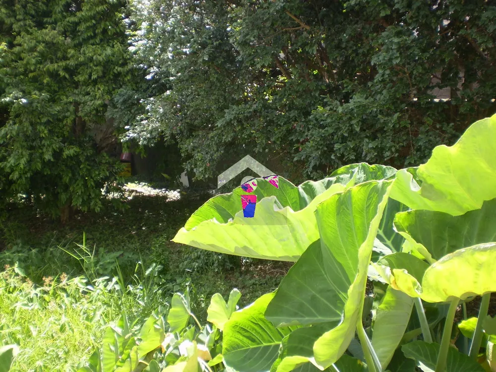 Apartamento, 3 quartos, 102 m² - Foto 4