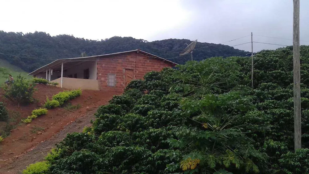 Sítio, 3 m² - Foto 2