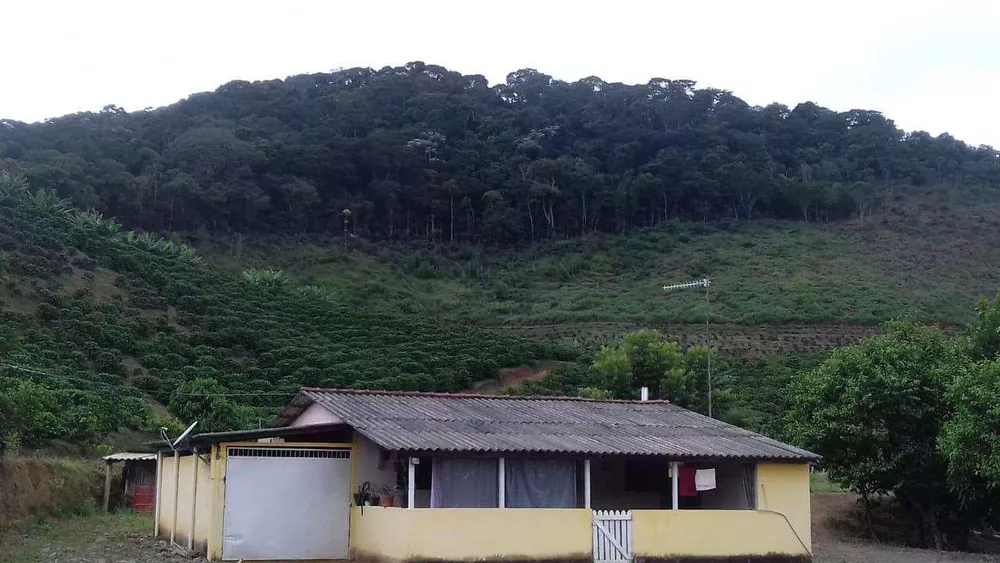 Sítio, 3 m² - Foto 1