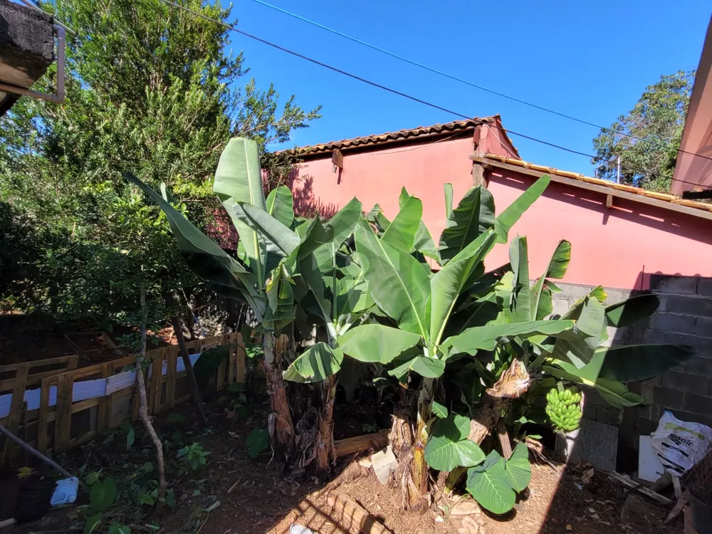 Fazenda, 720 m² - Foto 23