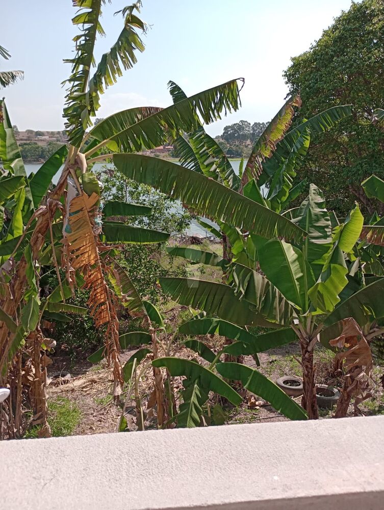 Chácara, 2 quartos, 4000 m² - Foto 6