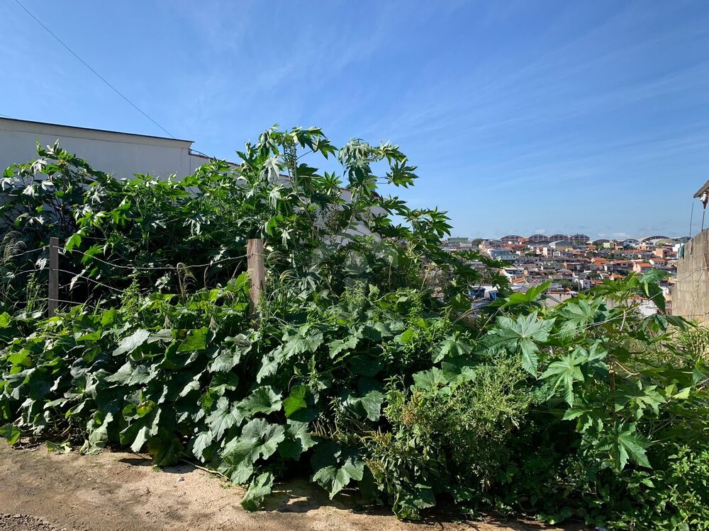 Terreno, 250 m² - Foto 1