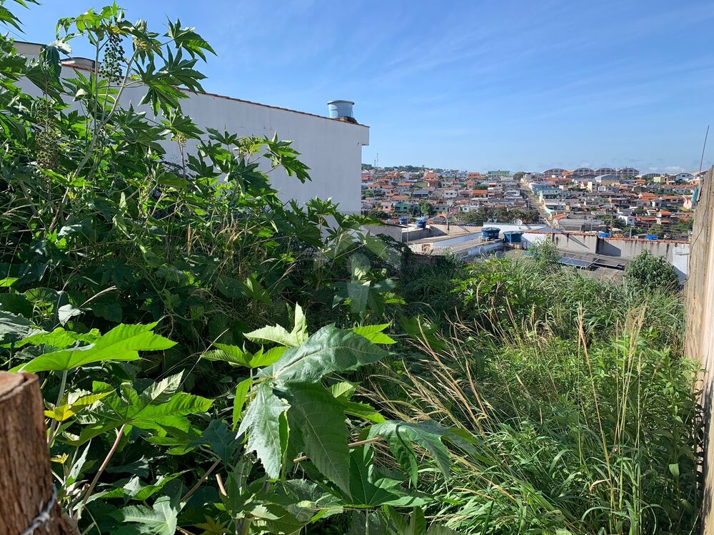 Terreno, 250 m² - Foto 2