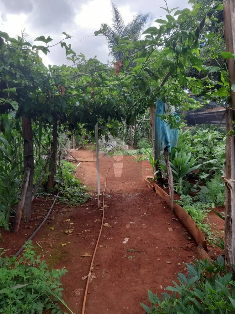 Chácara, 3 quartos, 1260 m² - Foto 7