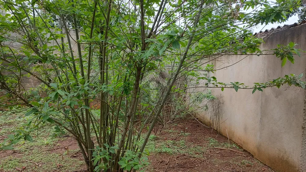 Terreno, 300 m² - Foto 7