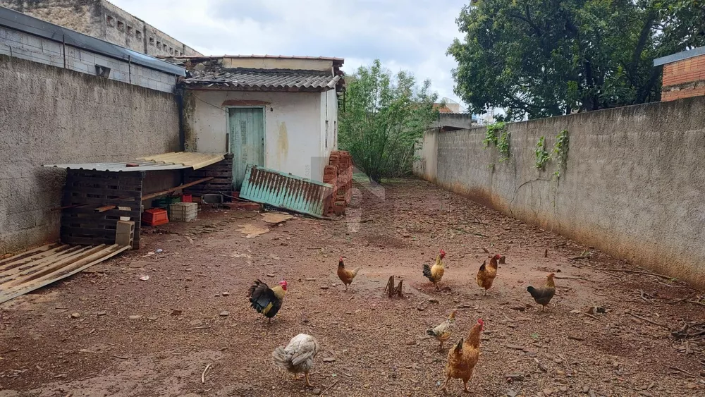 Terreno, 300 m² - Foto 4
