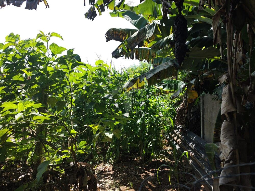 Terreno, 265 m² - Foto 6