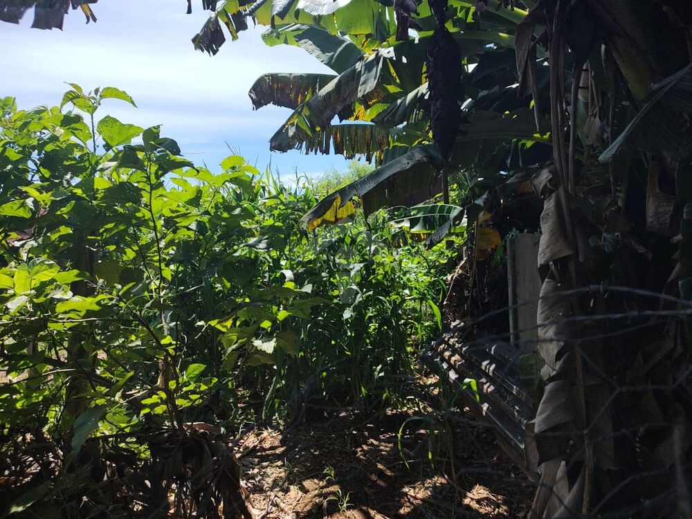 Terreno, 265 m² - Foto 4