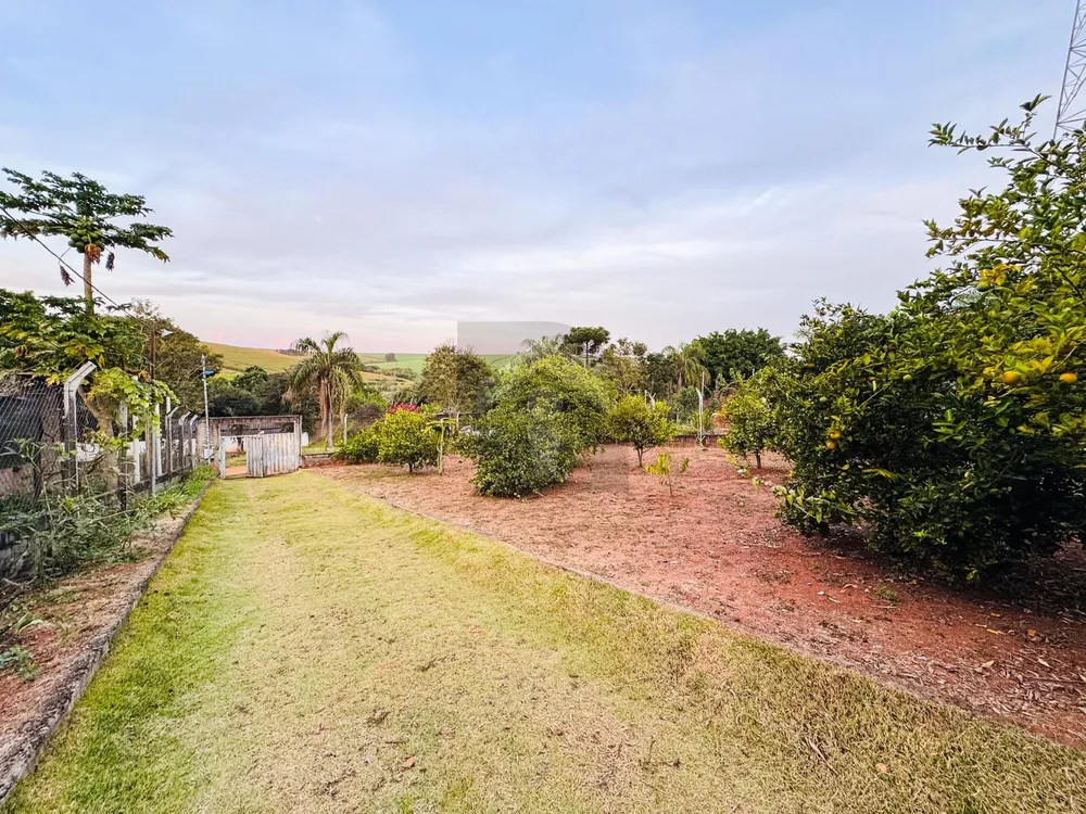 Sítio, 2 quartos, 1400 m² - Foto 4