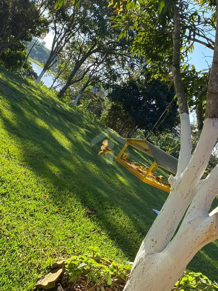 Sítio, 7 quartos, 8000 m² - Foto 5